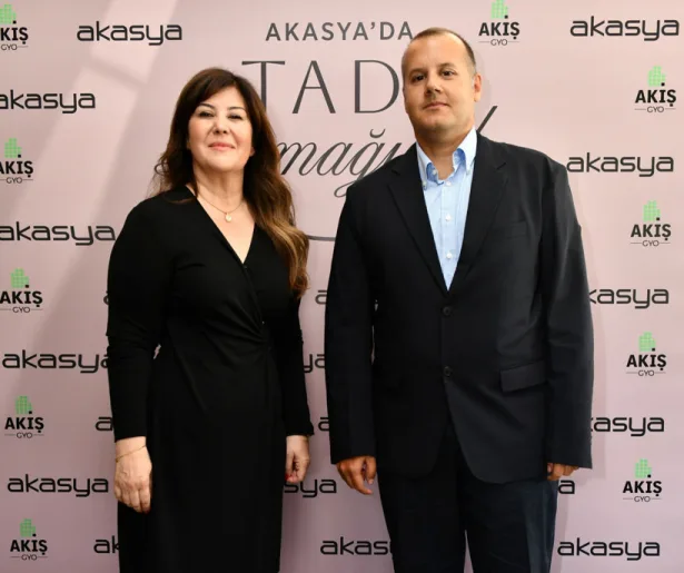 Giriş