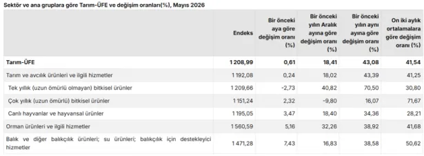 Manşet Tarım-ÜFE görünümü