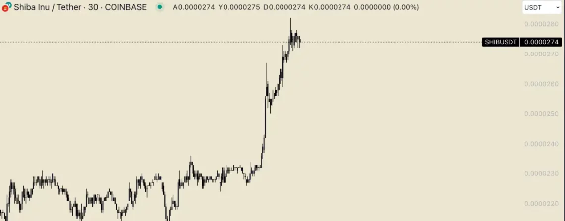 Memecoin'lerin Halving Sonrası Performansı