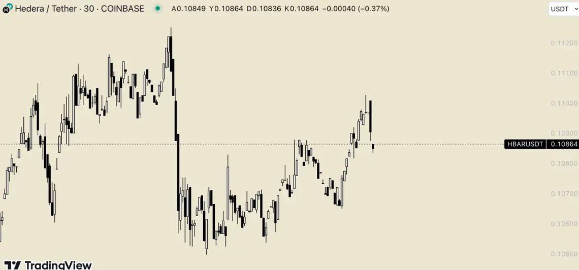 Altcoin'lerin Boğa Sezonundaki Performansı