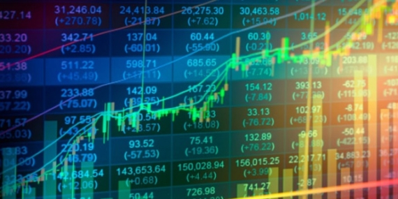 BIST 100 Hisselerinde Beta Değeri ve Günlük Getiriler