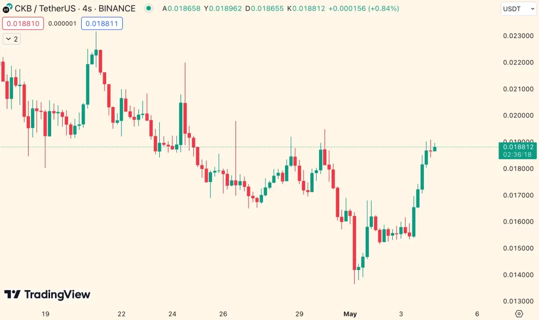 Bitcoin Yükseldi, Altcoin'ler Canlandı