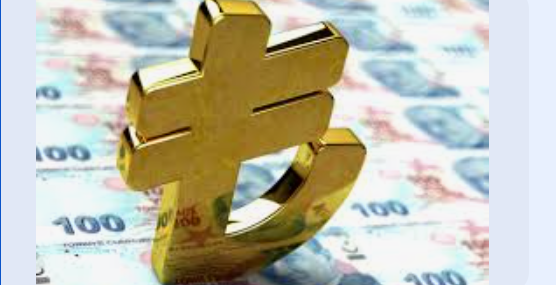 Citibank Türk Lirası Sevenler Kervanına Katıldı