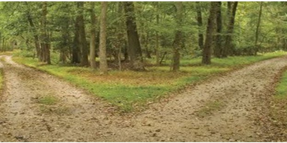 Dolar Sabitleniyor: Yönü Ne Olacak?