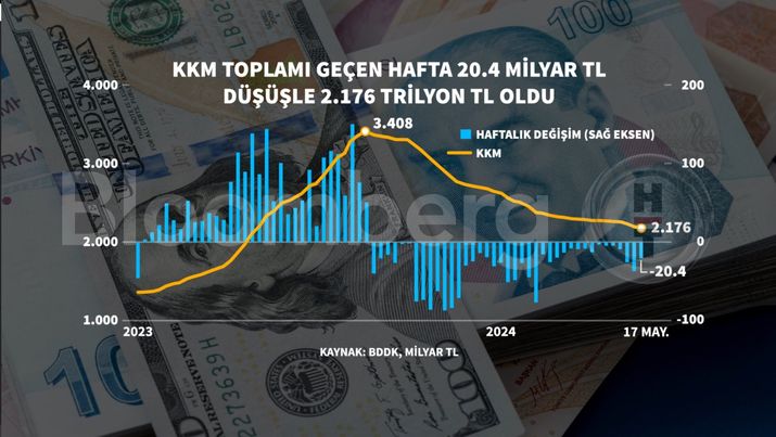 Dövize Endeksli Tasarruflarda Düşüş Devam Ediyor