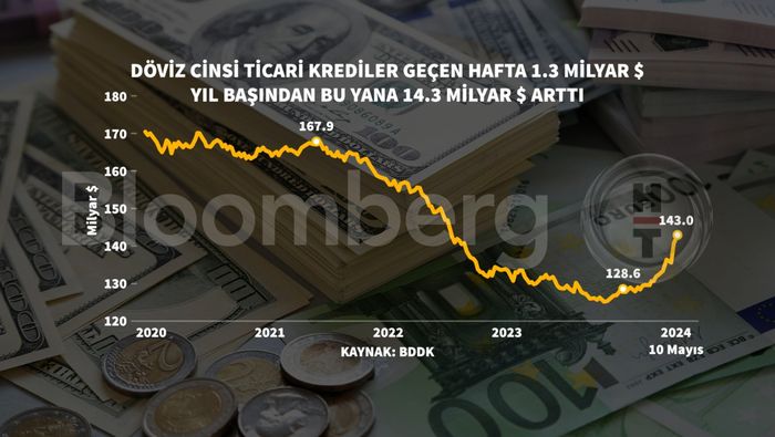 Döviz Kredileri ve Döviz Girişi