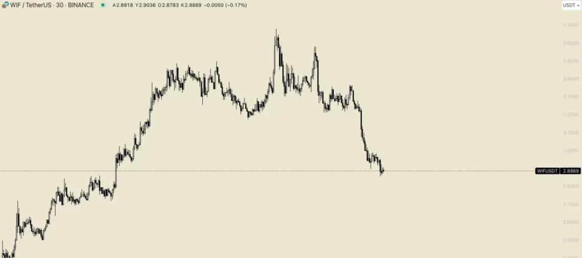 Altcoin'lerin Durumu ve Riskler