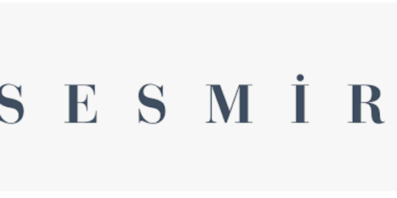 Sesmir Kurumsal ve Finansal Danışmanlık ile Orhan Ökmen: Carry Trade Akımının Geleceği