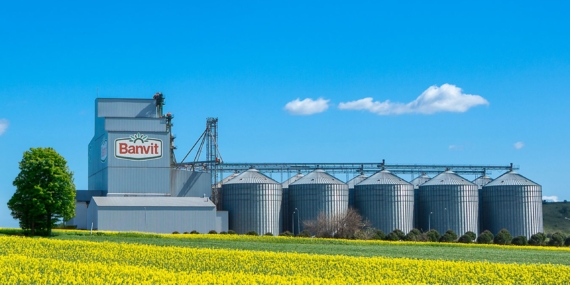 Banvit BRF: Sürdürülebilirlik Odaklı Faaliyetler