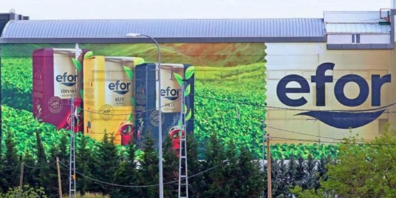 Efor Çay halka arz tarihi ve dağıtılacak lot miktarı açıklandı