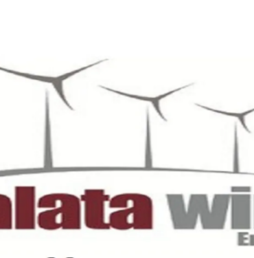 galata-wind-2024-yilinda-ilk-ceyrekte-buyumesini-surdurdu-pu8tafng.png