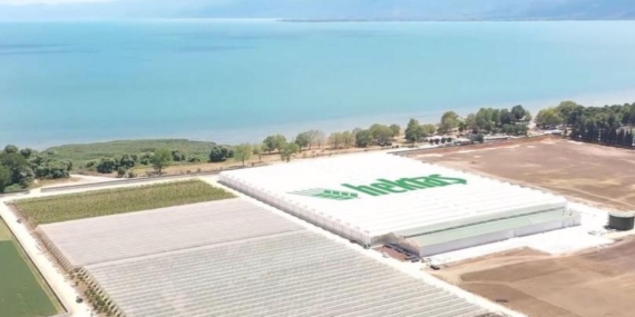 Hektaş İlk Çeyrekte 269,5 Milyon TL Zararını Açıkladı