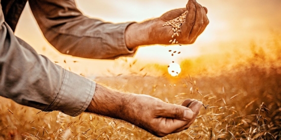 Hububat İhracatı 2022’nin İlk 5 Ayında 5,0 Milyar Doları Aştı