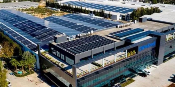 CW Enerji (CWENE), Yatırımcılarına Kesinleşen Temettü Kararını Açıkladı