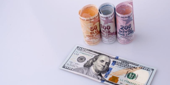 Dolar ve Euro Türk Lirası Karşısında Güncel Durum